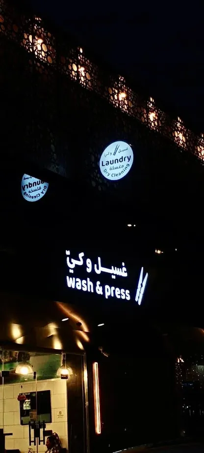 wash-press laundry design 3
